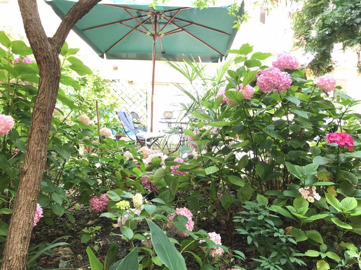 Cynthia'S Garden - Apartment With Private Garden In Santa Croce Florencie Exteriér fotografie
